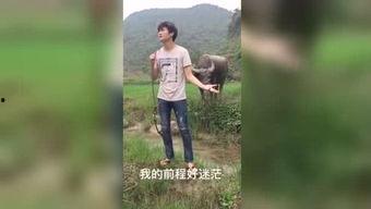 国产福利视频抄底视频,揭秘抄底策略，财富增长新篇章