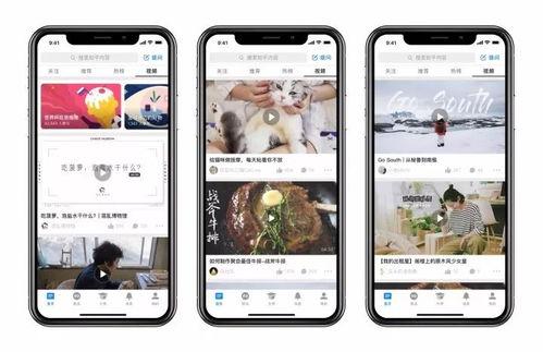 91视频国产区,独家热门影视，尽享视听盛宴
