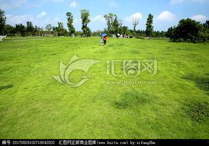 青草青青国产视频